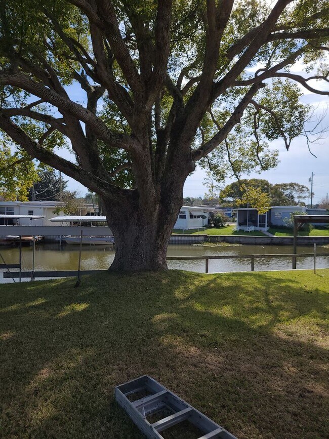 Building Photo - 55+ mobile home community. On canal to bea...