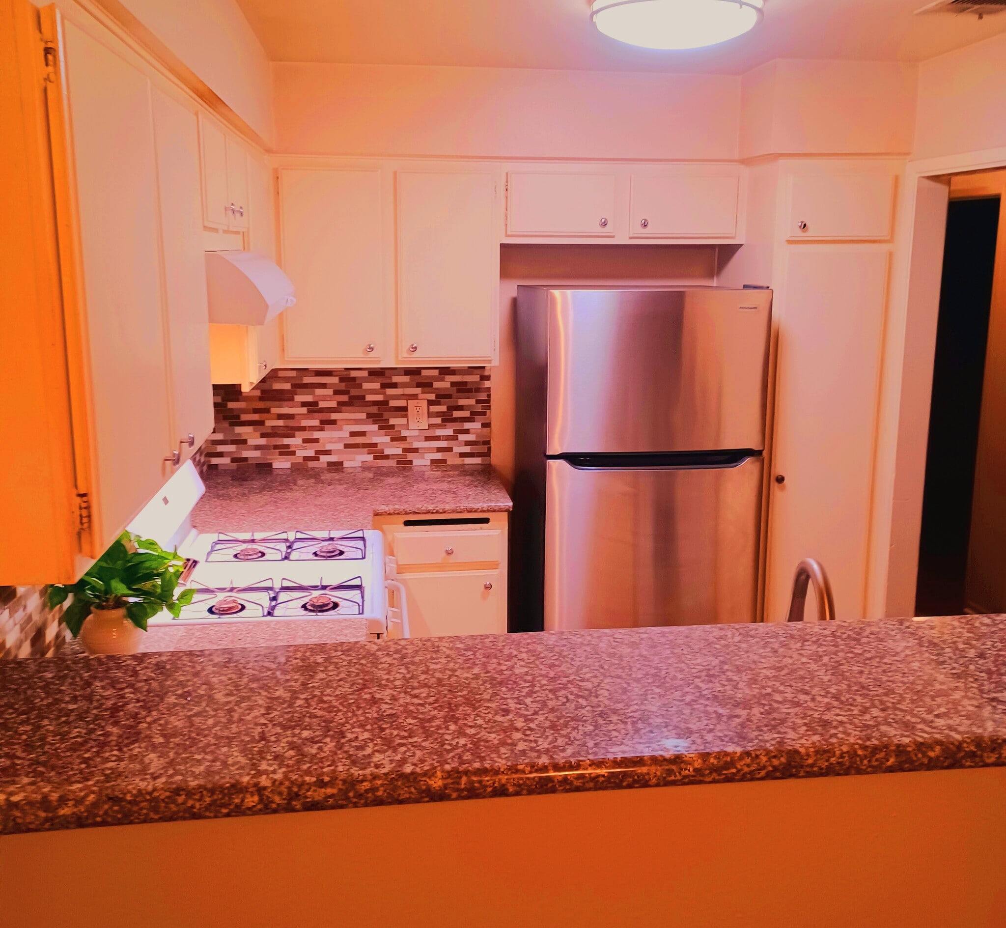 Updated Kitchen. Granite Counters. Gas Stove. New Stainless Steel Refrigerator - 1190 S Winery Ave