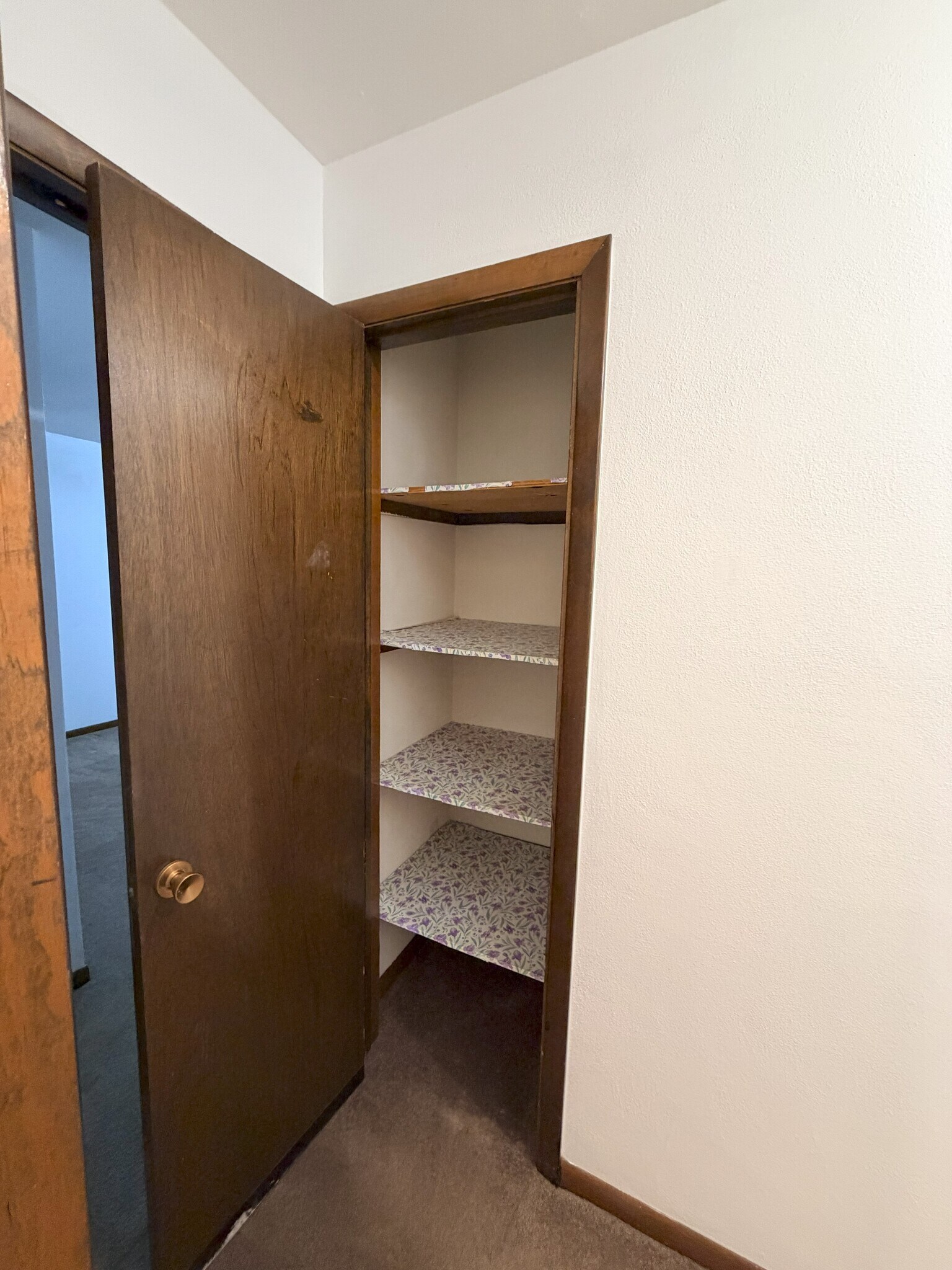 Linen closet - 10 St Paul St