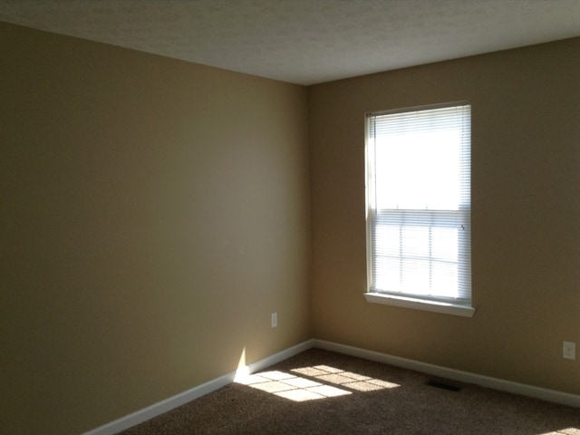 Building Photo - 599 Mitchell Way Ct
