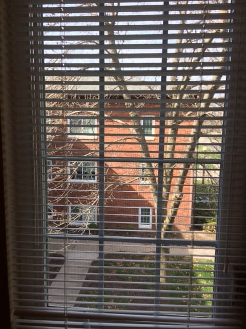 Bedroom window view - 100 Grandview Ct