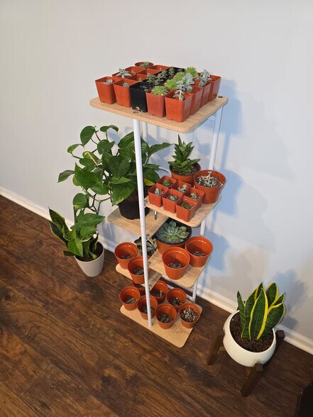 Building Photo - 7710 Pomeroy Ct