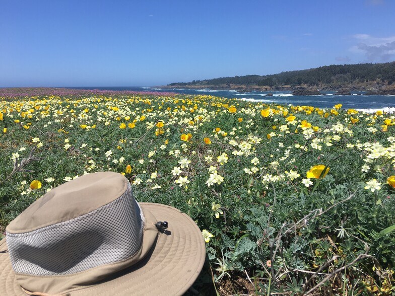 Building Photo - 10880 Palette Dr