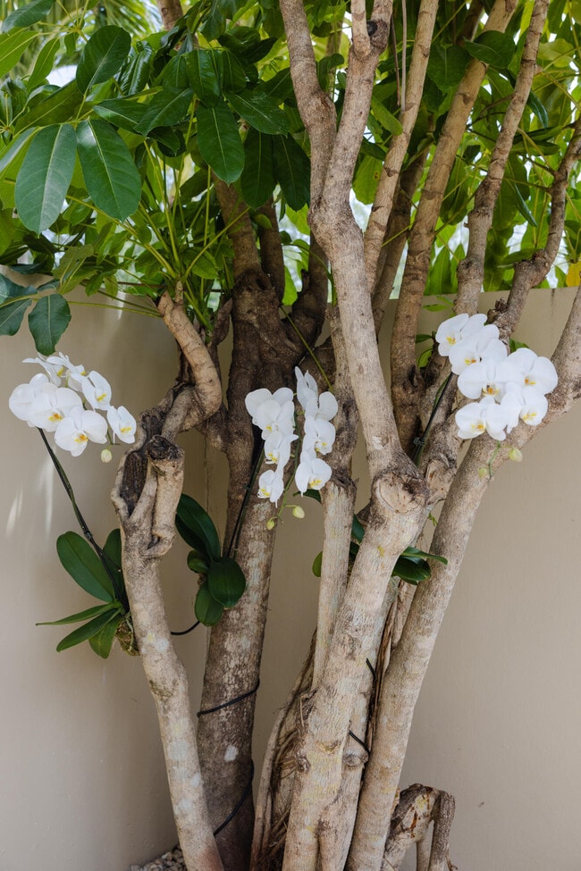 Building Photo - 104 Old Meadow Way