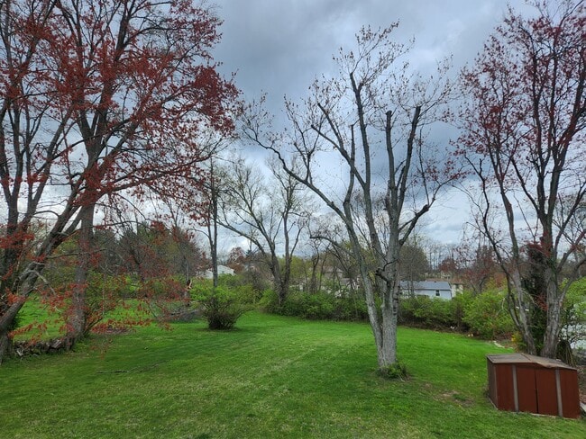 back yard - 8446 Clough Pike