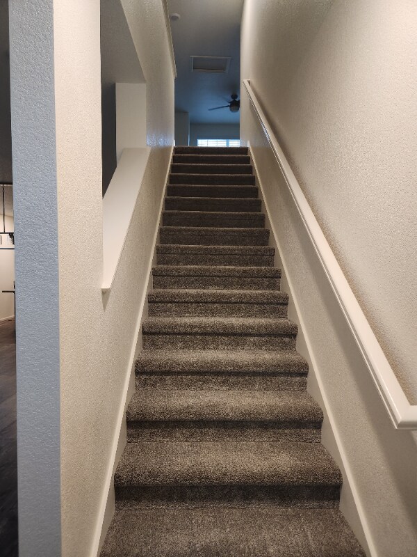 Building Photo - 3207 Meadow Gate Dr
