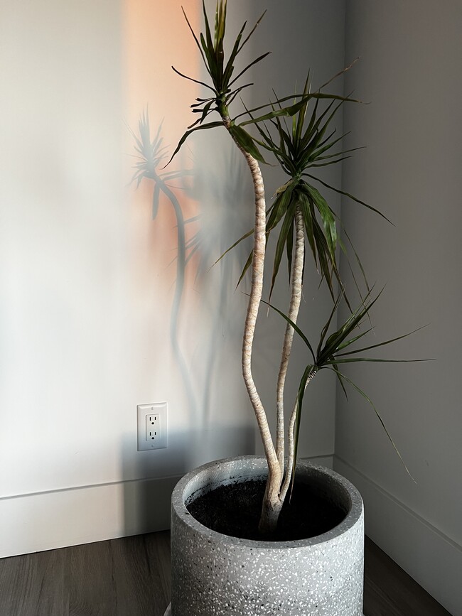 Building Photo - 353 Mariposa Dr