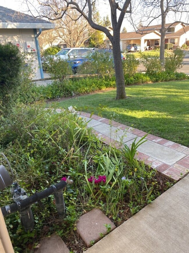 Building Photo - 3 Bedroom 1.25 bath Davis duplex in West D...