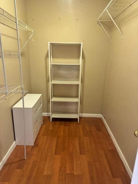 Building Photo - 3301 Spanish Moss Terrace