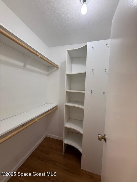 Building Photo - 3157 Dunhill Dr