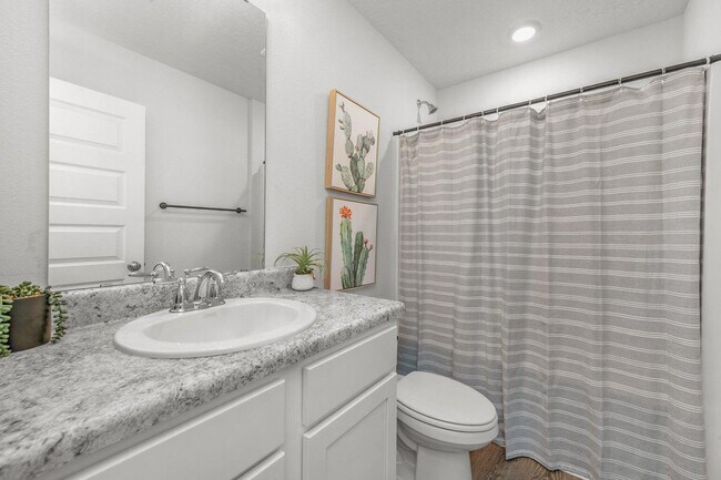 Building Photo - 6537 Torrey Pnes