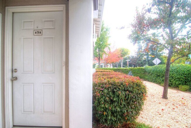 Building Photo - 171 Alma St