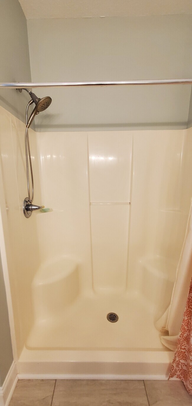 Master bath - 1028 Cherry Tree Ln