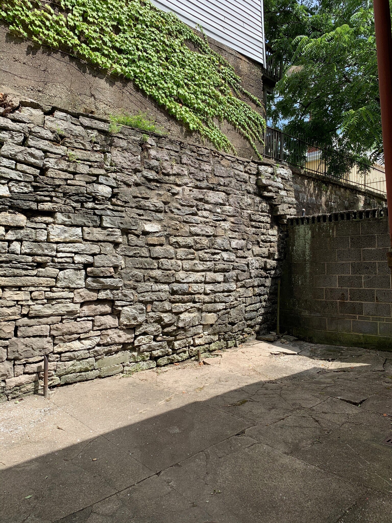 Backyard - 2210 Victor St
