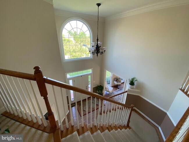 Building Photo - 6 Hollow Creek Cir