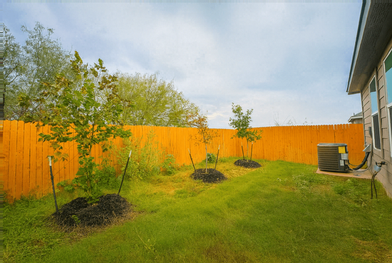 Building Photo - 2111 Organ Pipe Cactus