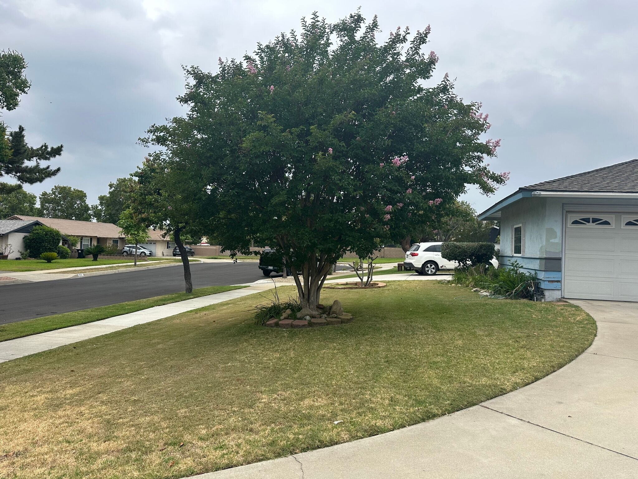 Building Photo - 1050 W La Deney Dr