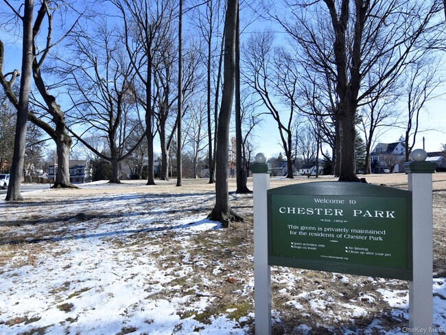 Building Photo - 11 Walnut Ave