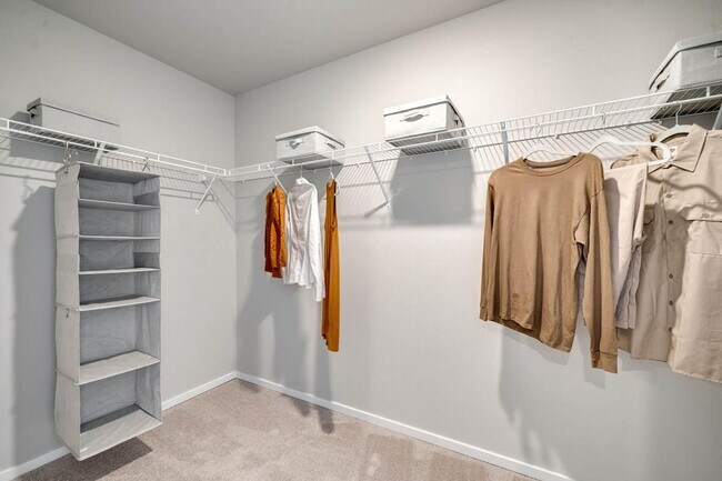 Building Photo - Modern 4 bedroom with den and neighborhood pool!