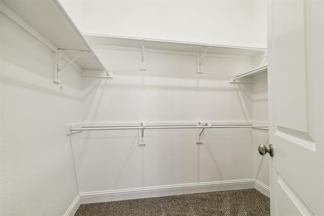 Building Photo - 410 Oleander Dr
