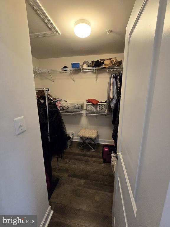 Building Photo - 2842 Golden Gate Ct