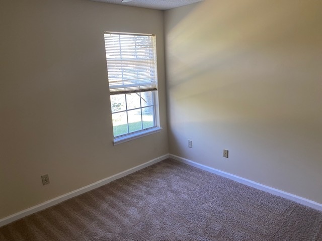 Building Photo - 4636 Sunbeam Station Ct