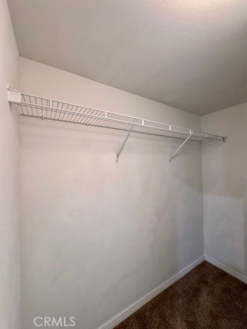 Building Photo - 36948 Silk Tree Ct