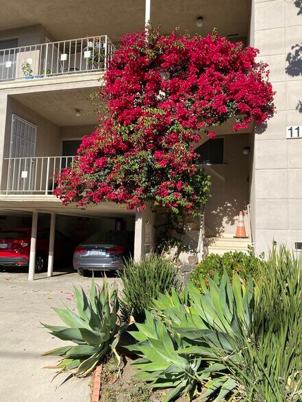 Building Photo - 1173 N Curson Ave