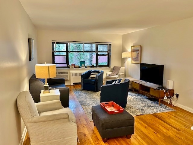 125 B4 living rm spacious 1 bed - Rye Village Apartments