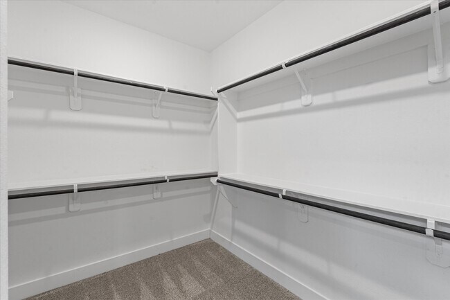 Building Photo - 23831 Oriole Vly Trl