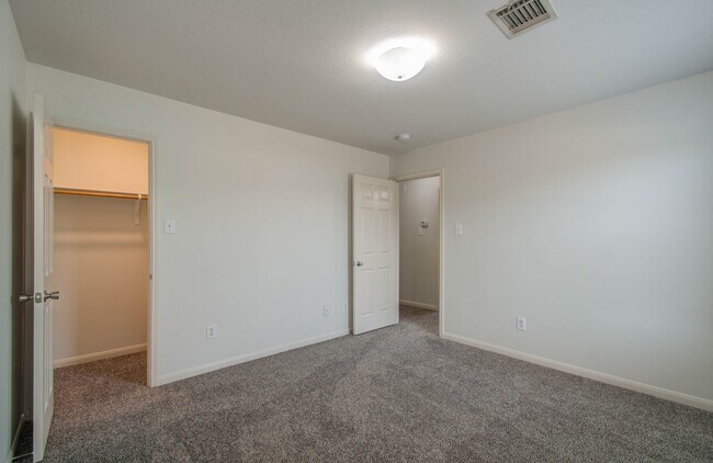 Building Photo - 4239 Nueces River Loop