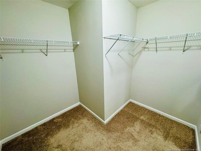 Building Photo - 843 Screech Owl Dr
