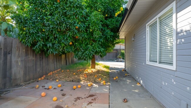Building Photo - 3 Bedroom home in Winters