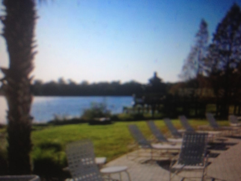 Building Photo - 1400 Lake Shadow Cir