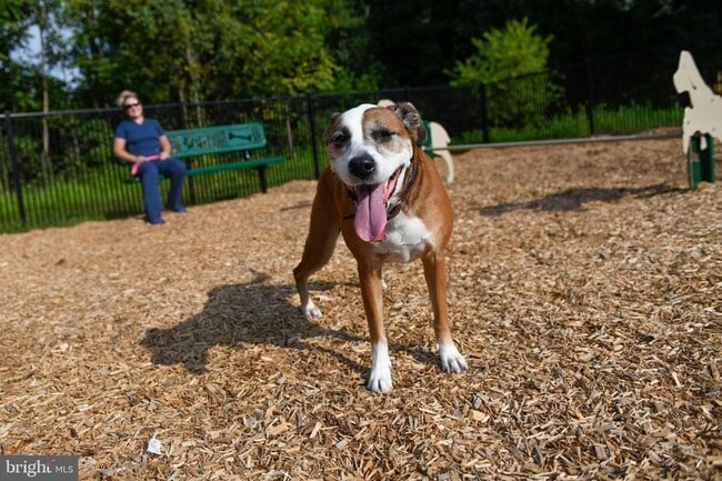 Building Photo - 294 Cadbury Dr