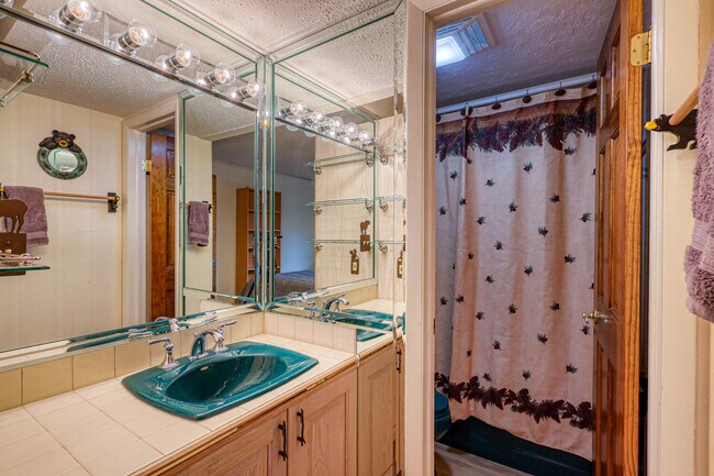 Building Photo - 1063 Vail View Dr