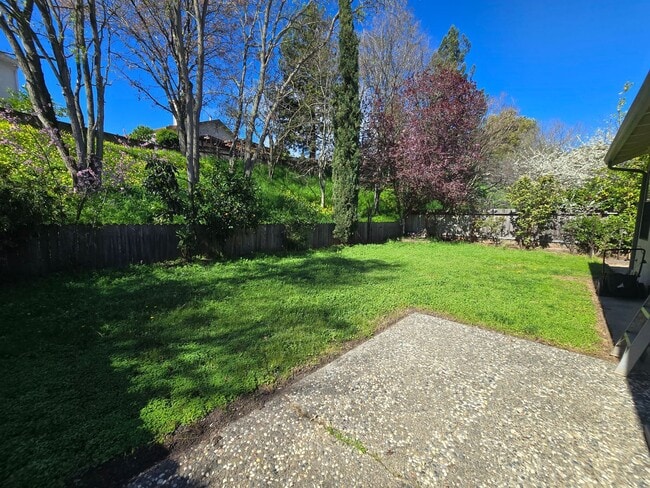 Building Photo - Beautiful Single Story home in the Hercules Hills