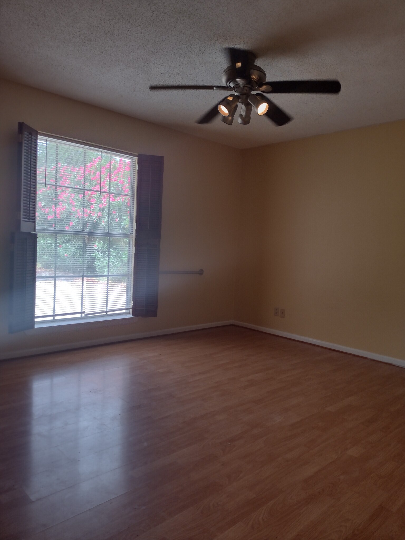 Large Master BR - 2220 S Whitehouse Cir