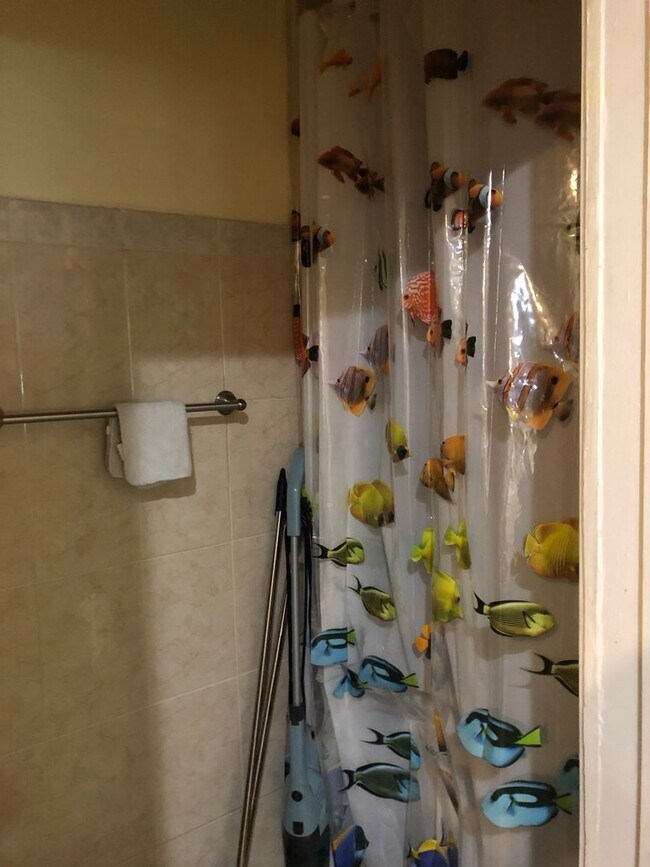 Building Photo - 4 BED RIGHT ACROSS FROM BOSTON UNIVERSITY!!   AVAIL 9/1 ~ HT/HW INCLUDED