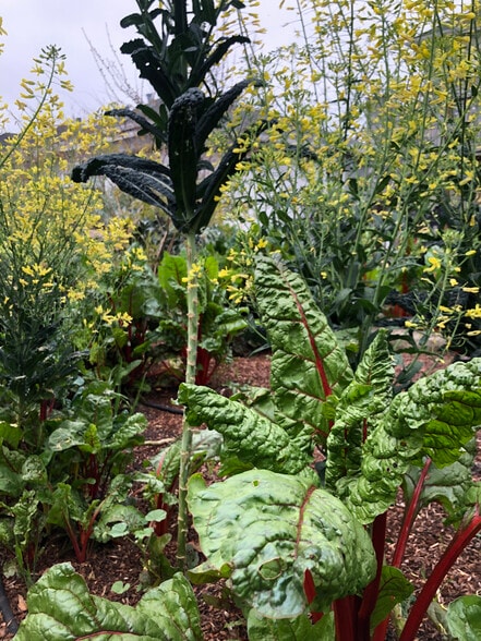 Building Photo - 1258 67th St