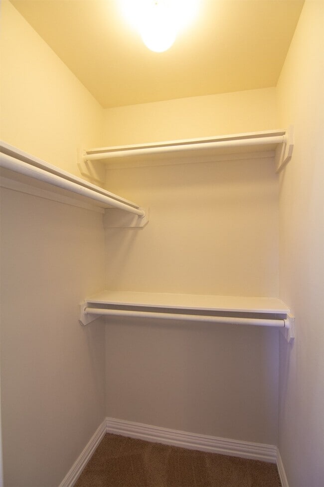 Building Photo - 12242 Kleinmeadow Dr