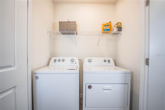 Building Photo - 3551 Marigold Patch Ct