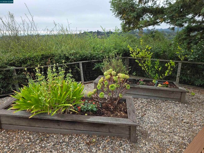 Building Photo - 29 Chapel Dr