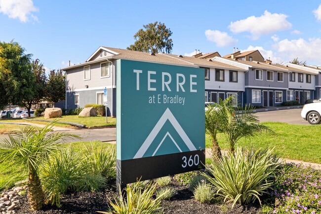 Building Photo - Terre at E Bradley