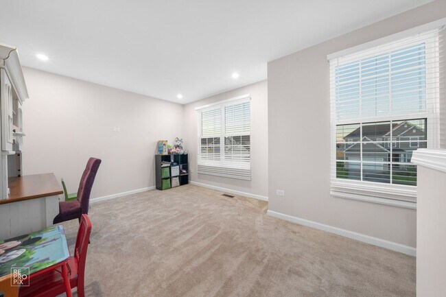 Building Photo - South Naperville Executive Style Rental First Floor Bed and Bath