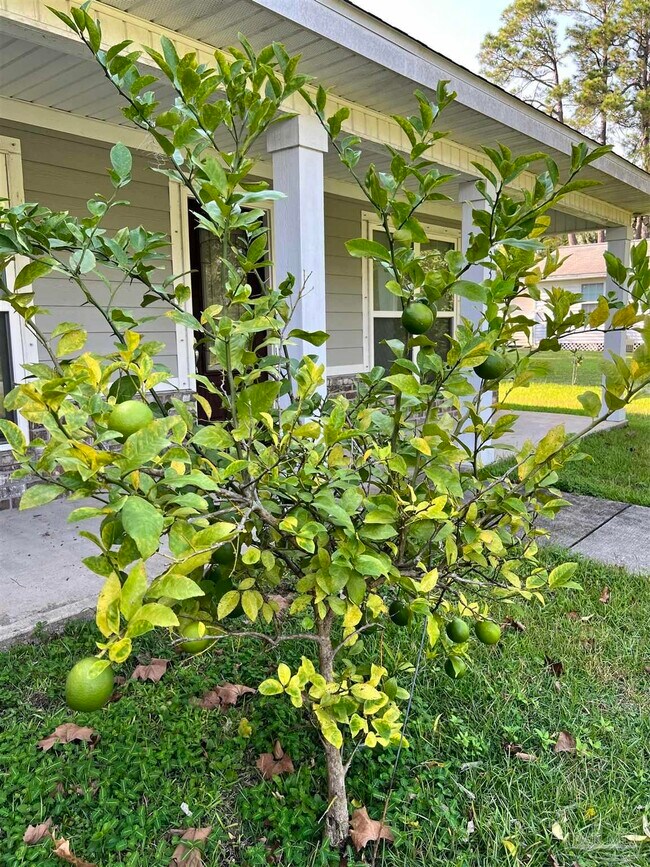 Building Photo - 5335 Broad St