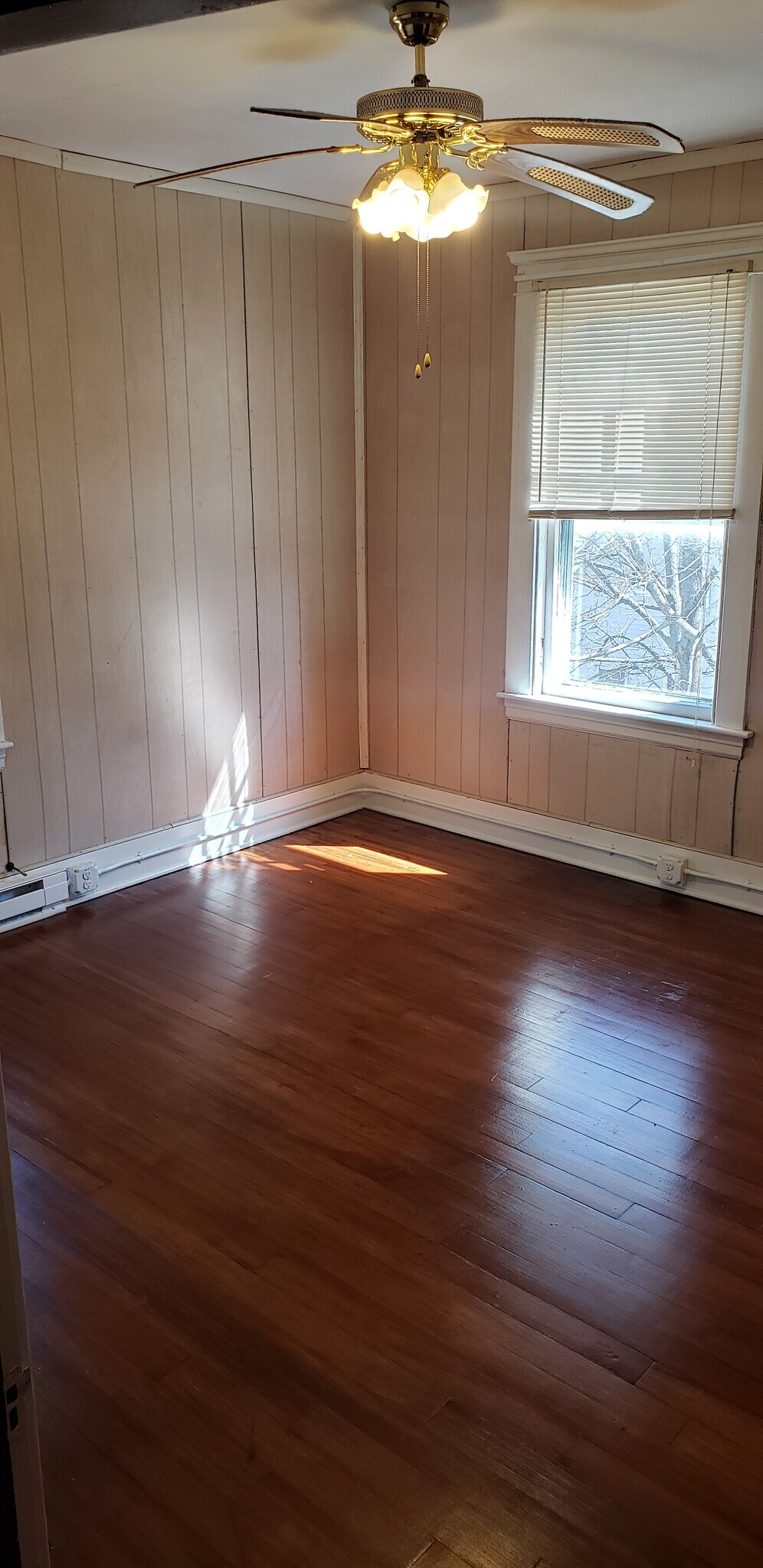 Building Photo - 36 Roberts St