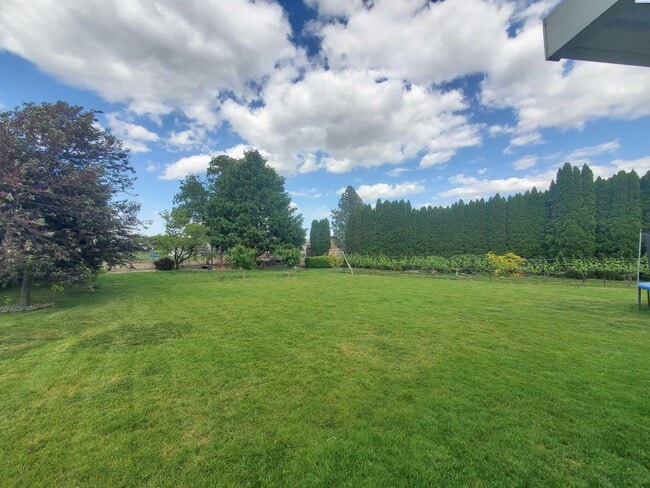 Building Photo - Pet friendly, avail July 1