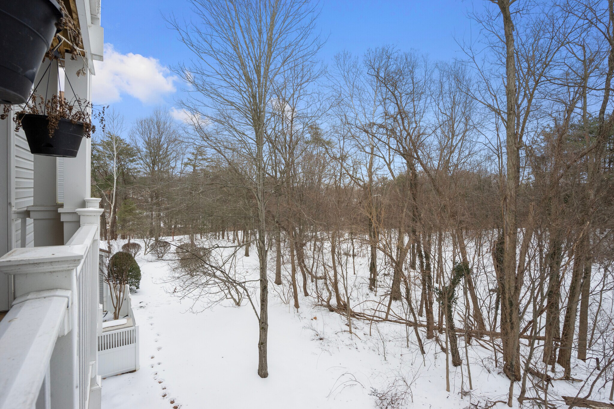 Building Photo - 7503 Ashby Ln