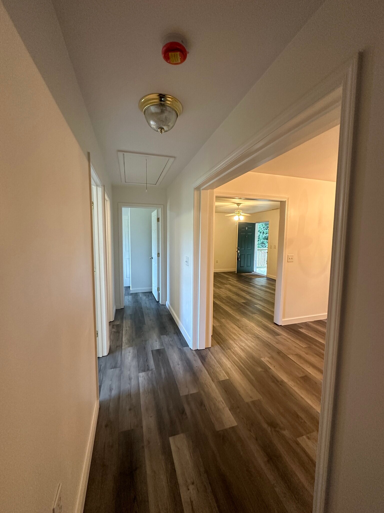 Hallway - 296 Gap Creek Rd